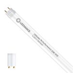 Ledvance LED Röhre T8 Performance (EM/Mains) High Output 6.8W 1100lm - 840 Kaltweiß | 60cm - Ersatz Für 18W