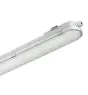 Philips LED Feuchtraumleuchte CoreLine WT120C G2 61W 8000lm - 840 Kaltweiß | 150cm - Dali Dimmbar 